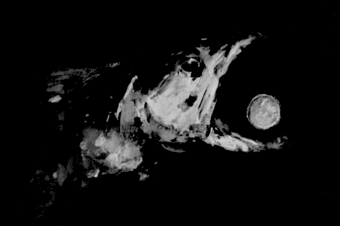 Jesus and the Temple Tax